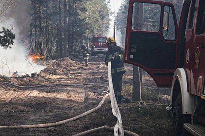 Стало известно о проблеме с пожаром в чернобыльской зоне отчуждения