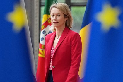 Каллас оценила вероятность участия Шредера в переговорах с Россией