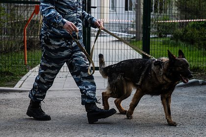 На стадионе &laquo;Динамо&raquo; объявили эвакуацию после матча с &laquo;Краснодаром&raquo;