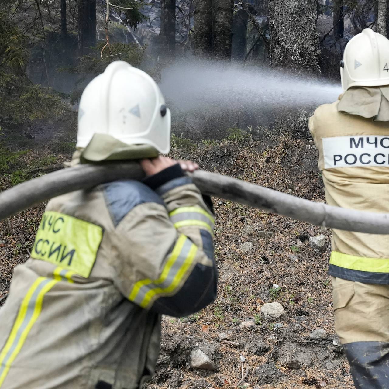Раскрыта причина масштабных лесных пожаров на Дальнем Востоке