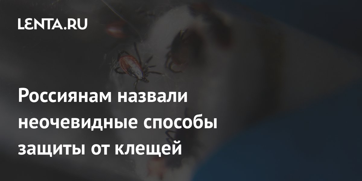Россиянам назвали неочевидные способы защиты от клещей
