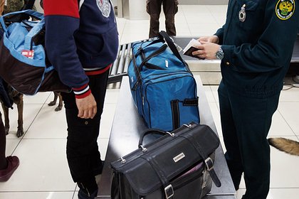 Три туриста попались в российском аэропорту с кораллами из Египта