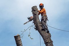 Архивное фото