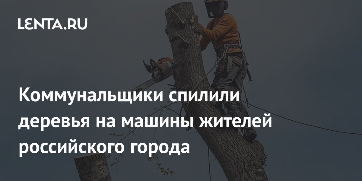 Коммунальщики спилили деревья на машины жителей российского города