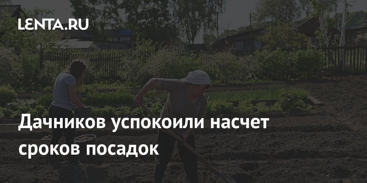 Дачников успокоили насчет сроков посадок
