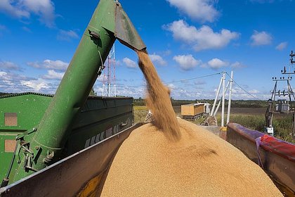 Миру предсказали дефицит двух продуктов питания