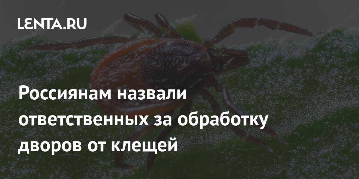 Россиянам назвали ответственных за обработку дворов от клещей