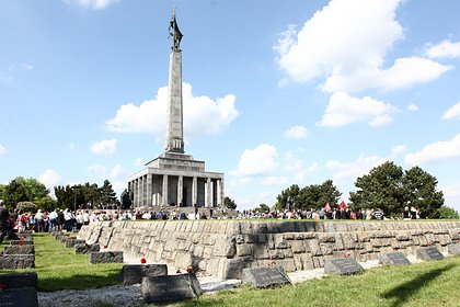 Страна ЕС ввела уголовную ответственность за осквернение советских памятников