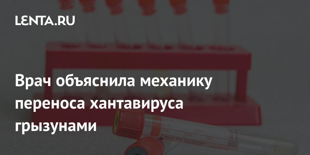 Врач объяснила механику переноса хантавируса грызунами