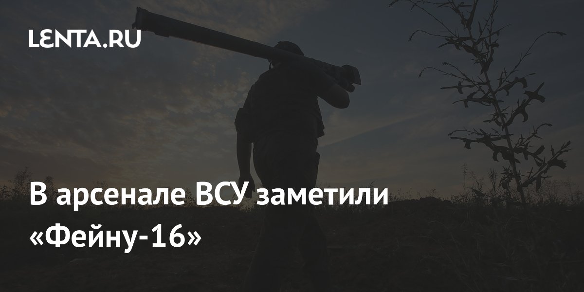 В арсенале ВСУ заметили «Фейну-16»