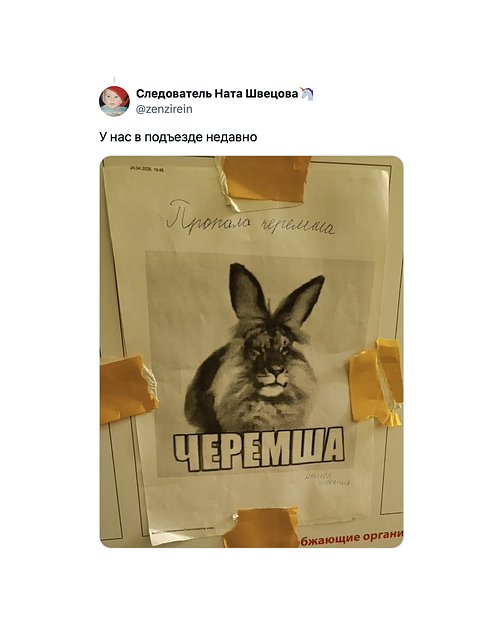 Скриншот комментария пользователя X о Черемше