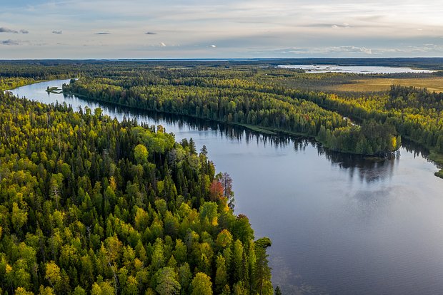 Вводная картинка