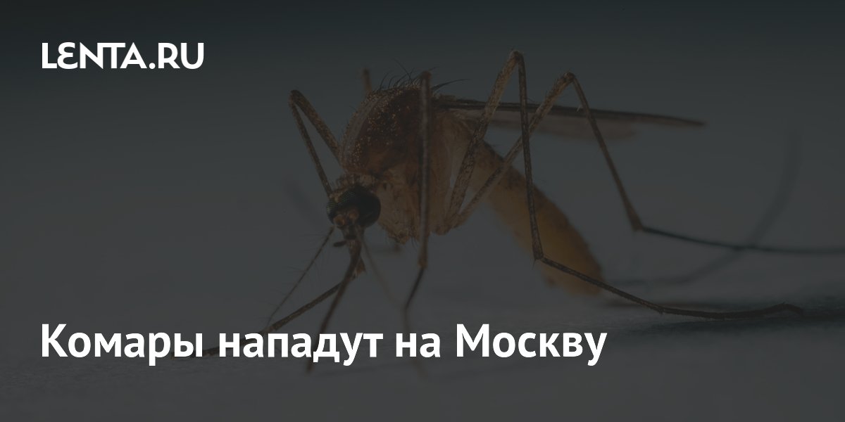 Комары нападут на Москву
