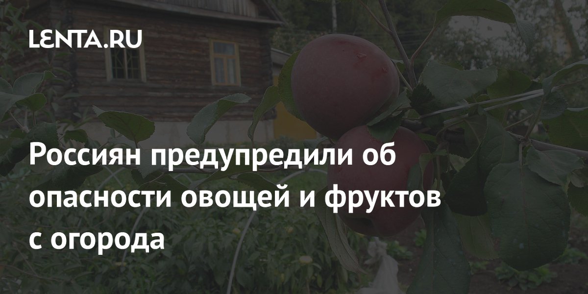 Россиян предупредили об опасности овощей и фруктов с огорода