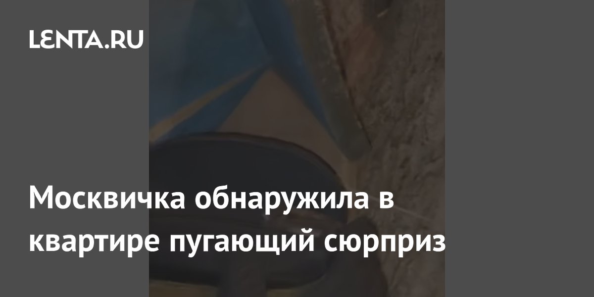 Москвичка обнаружила в квартире пугающий сюрприз
