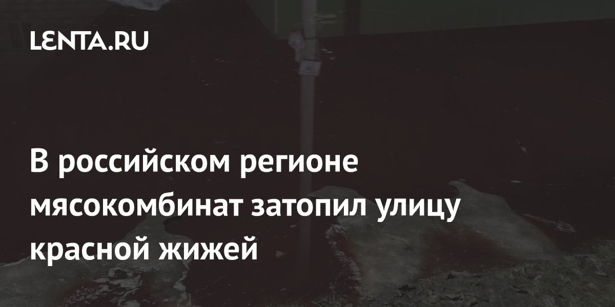 В российском регионе мясокомбинат затопил улицу красной жижей