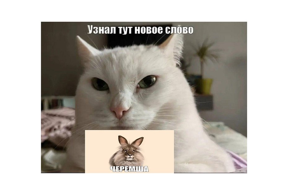 Скриншот комментария пользователя X о Черемше