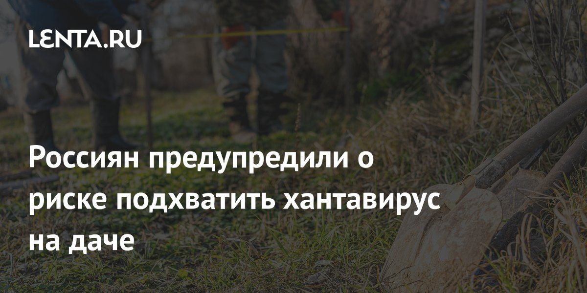 Россиян предупредили о риске подхватить хантавирус на даче