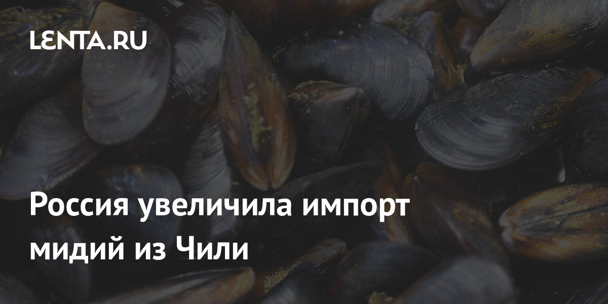 Россия увеличила импорт мидий из Чили