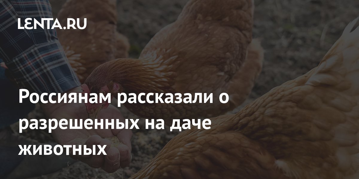 Россиянам рассказали о разрешенных на даче животных