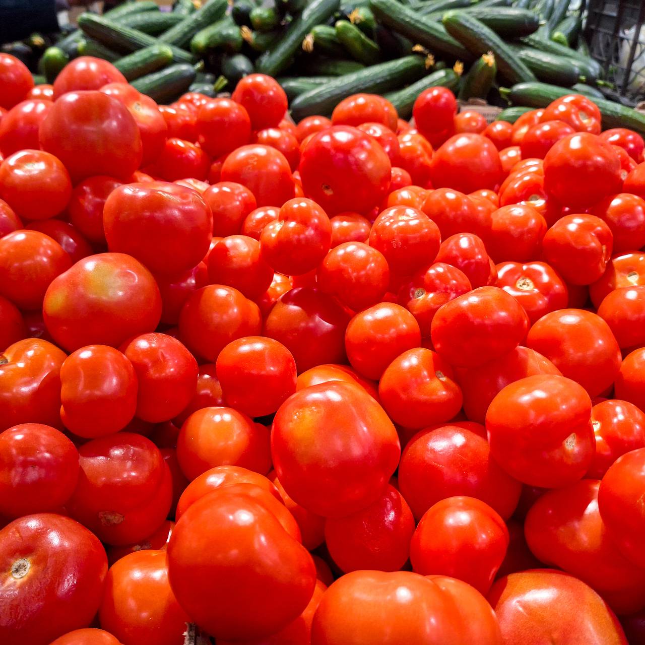 Российский футболист раскритиковал цены на продукты