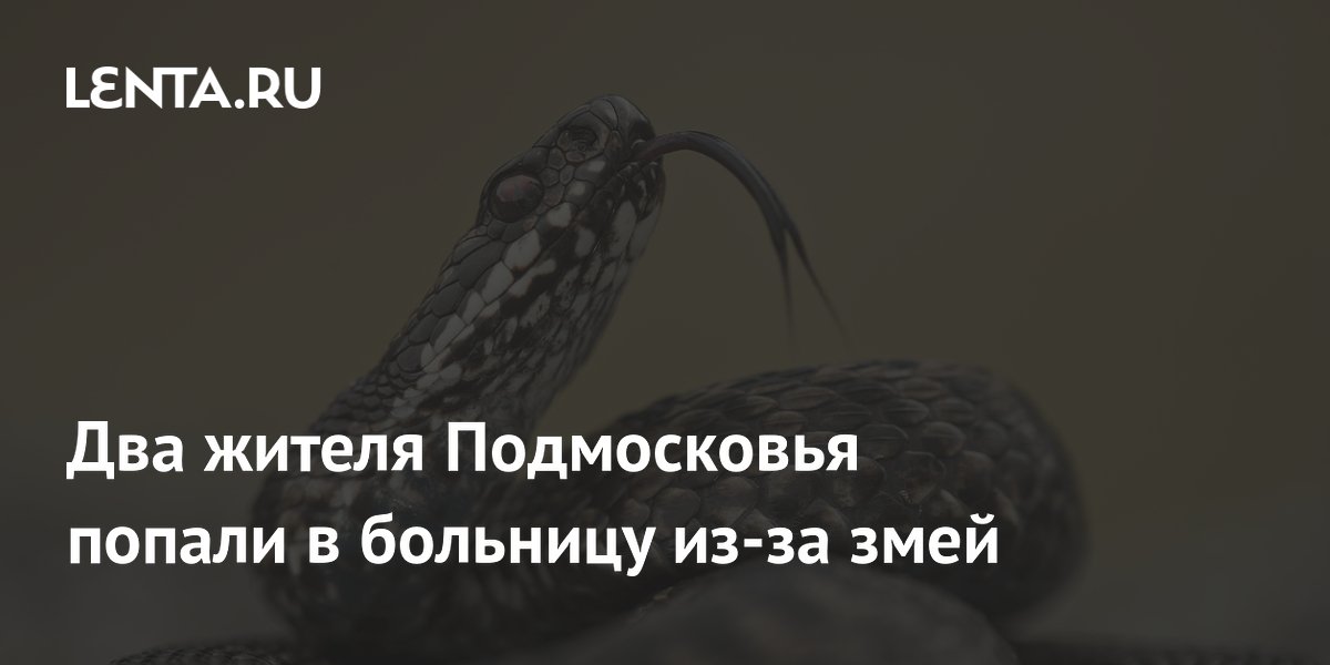 Два жителя Подмосковья попали в больницу из-за змей