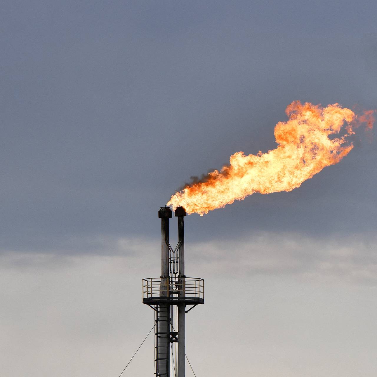 В Германии назвали сроки исчерпания запасов нефти