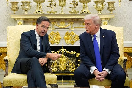 На Западе рассказали о желании генсека НАТО угодить Трампу