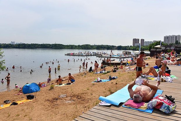 Вводная картинка