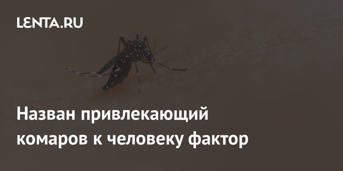 Назван привлекающий комаров к человеку фактор