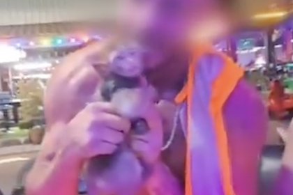 Мужчина укусил обезьянку за ухо, запихнул ее в шорты и попал на видео в Таиланде