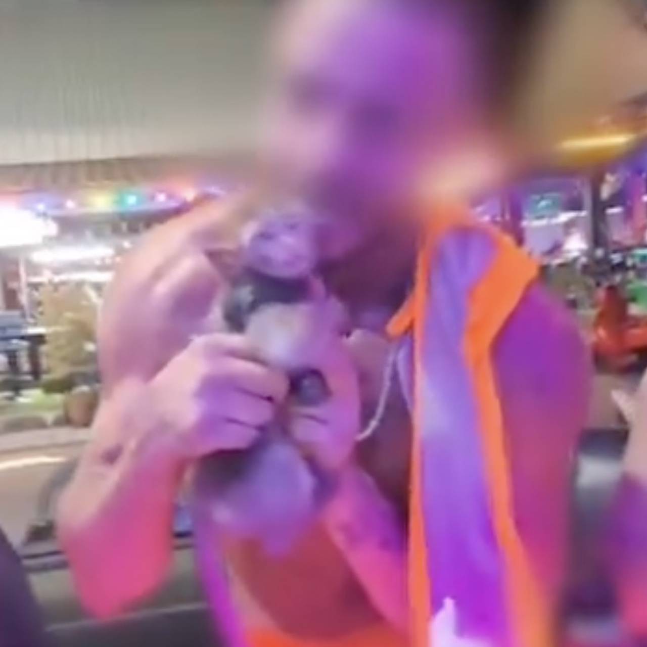 Мужчина укусил обезьянку за ухо, запихнул ее в шорты и попал на видео в Таиланде