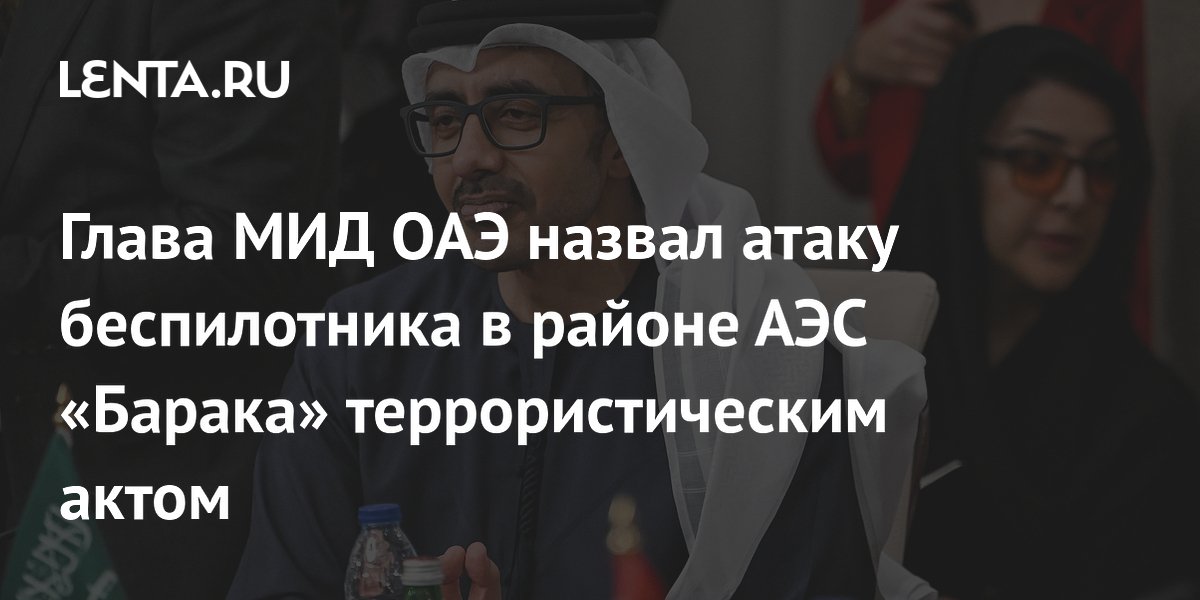 Глава МИД ОАЭ назвал атаку беспилотника в районе АЭС «Барака» террористическим актом
