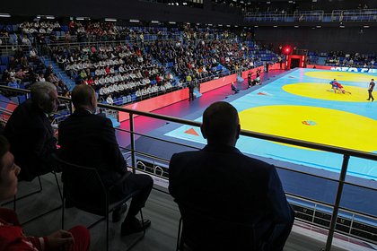 Сборная России по самбо выиграла медальный зачет чемпионата Европы