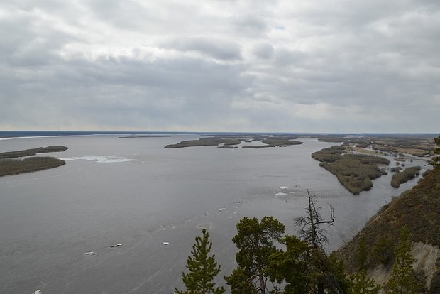 Вводная картинка