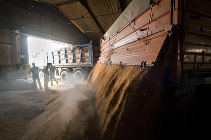 Постсоветская страна резко нарастила импорт российских зерновых