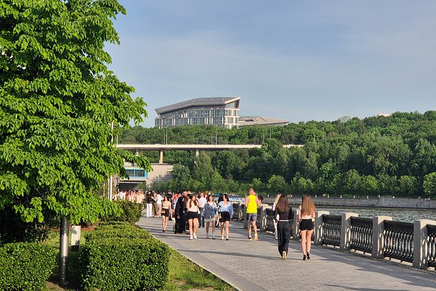 Вводная картинка