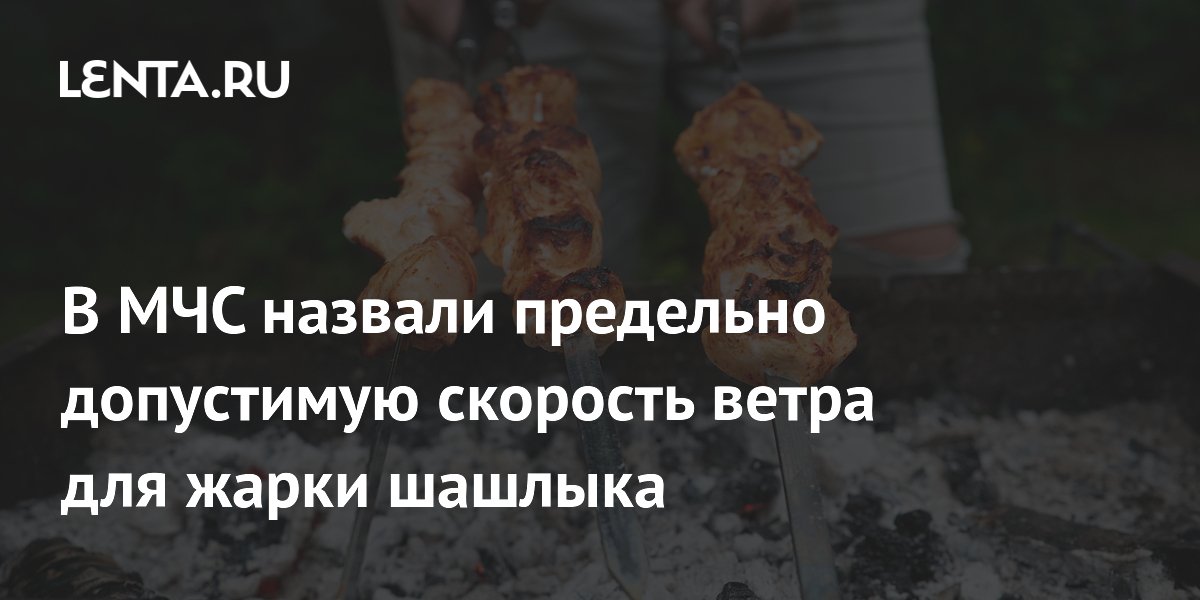 В МЧС назвали предельно допустимую скорость ветра для жарки шашлыка