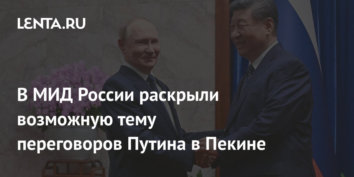 В МИД России раскрыли возможную тему переговоров Путина в Пекине
