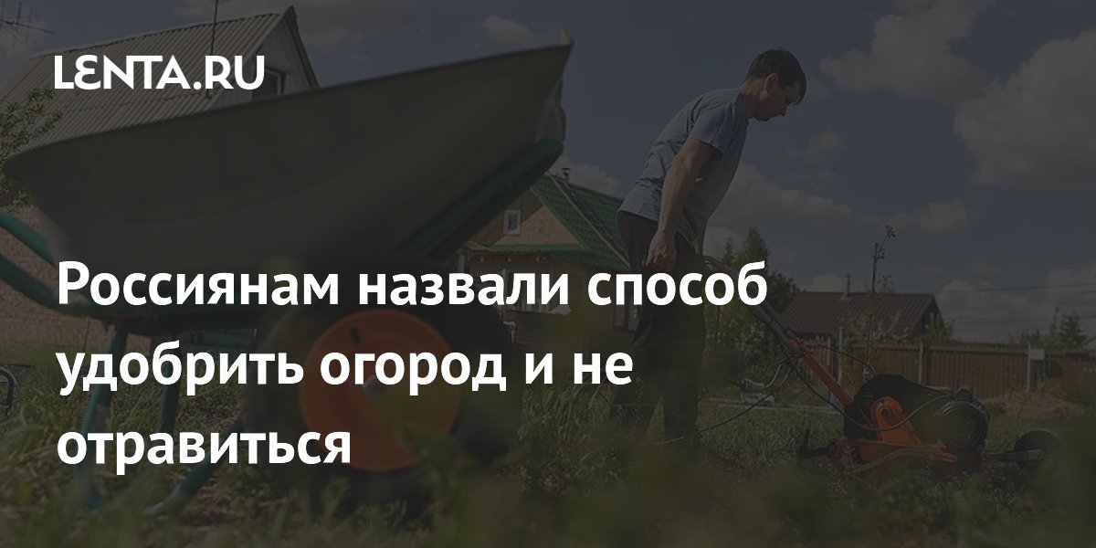 Россиянам назвали способ удобрить огород и не отравиться