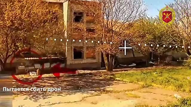 Вводная картинка