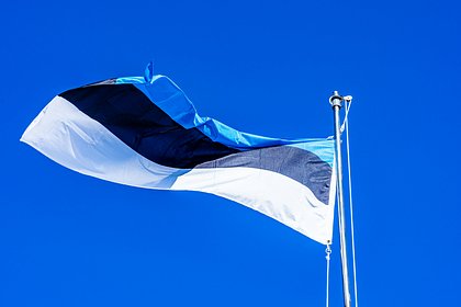 Эстония обвинила Россию в появлении дрона над территорией страны