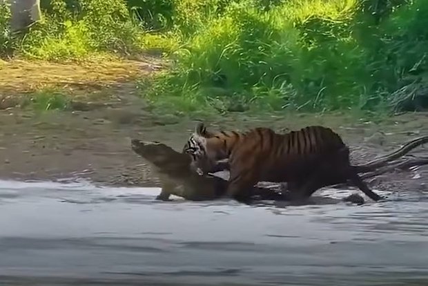 Вводная картинка