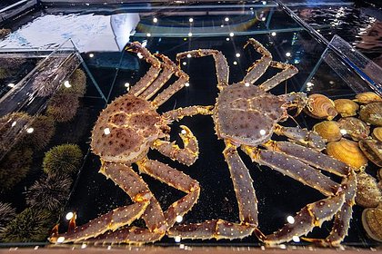 Россия нарастила экспорт рыбы и морепродуктов в страну БРИКС