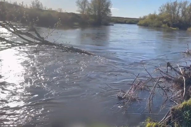 Вводная картинка