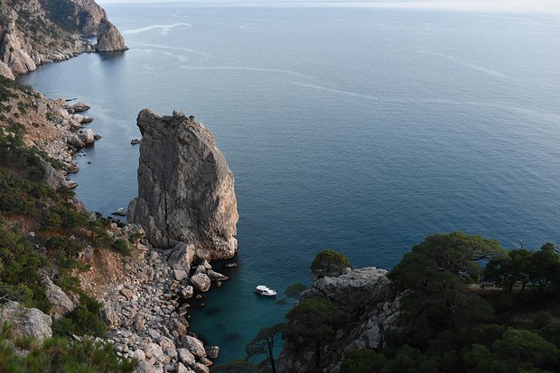 Вводная картинка