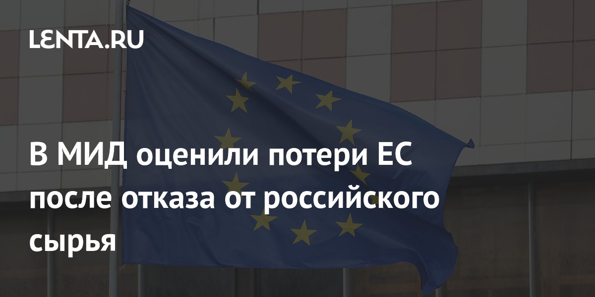 В МИД оценили потери ЕС после отказа от российского сырья
