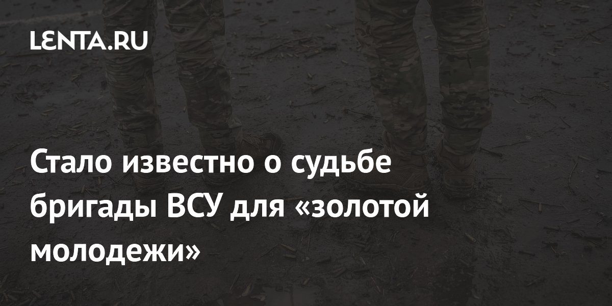 Стало известно о судьбе бригады ВСУ для «золотой молодежи»