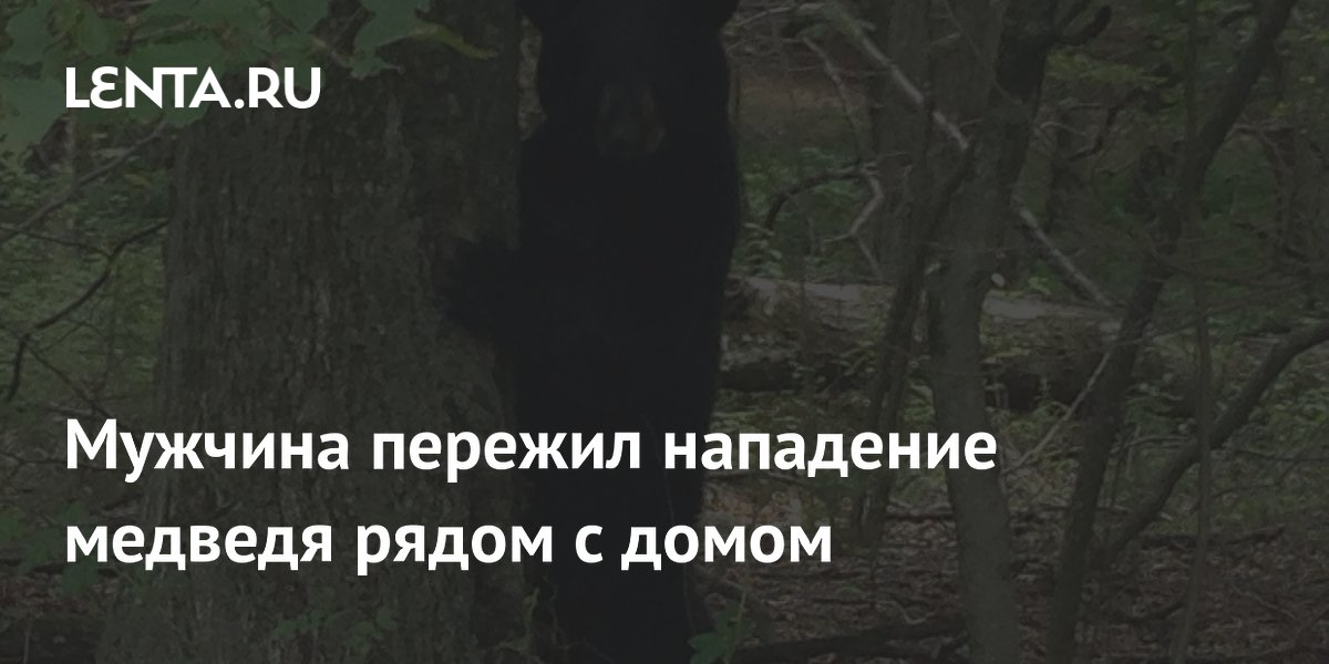 Мужчина пережил нападение медведя рядом с домом