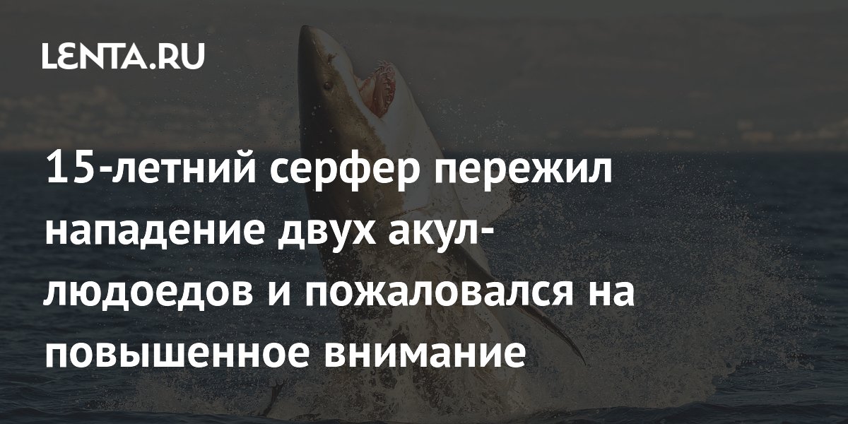 15-летний серфер пережил нападение двух акул-людоедов и пожаловался на повышенное внимание